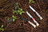 Opinel Limited Edition N°08 Escapade Folding Knife "Bivouac"